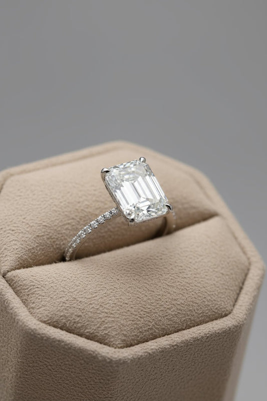 3e95068bfd9d4a5099e5f48161998052-Max